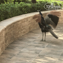 фото из отзыва ID 2744230