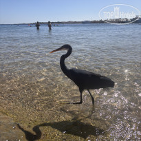 фото из отзыва ID 2744237