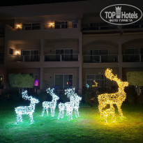 фото из отзыва ID 2744288