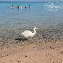 фото из отзыва ID 2744317