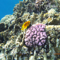 фото из отзыва ID 2744328