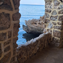 фото из отзыва ID 2744328