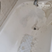 фото из отзыва ID 2744349