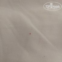 фото из отзыва ID 2744403