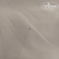 фото из отзыва ID 2744403