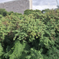 фото из отзыва ID 2744406