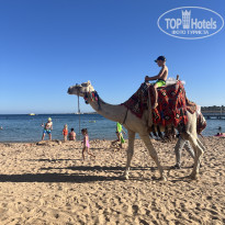 фото из отзыва ID 2744410