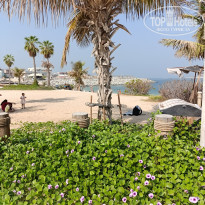 фото из отзыва ID 2744420