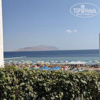 фото из отзыва ID 2744445