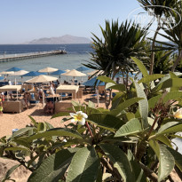 фото из отзыва ID 2744445