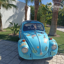 фото из отзыва ID 2744461