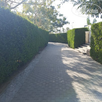 фото из отзыва ID 2744461