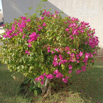 фото из отзыва ID 2744461