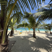 фото из отзыва ID 2744473