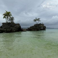 фото из отзыва ID 2744473