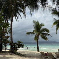 фото из отзыва ID 2744473