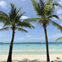 фото из отзыва ID 2744473