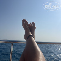 фото из отзыва ID 2744324