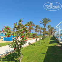 фото из отзыва ID 2744505