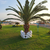 фото из отзыва ID 2744505