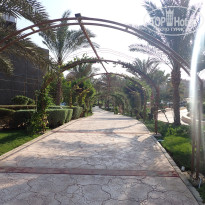 фото из отзыва ID 2744512