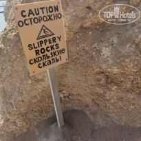 фото из отзыва ID 2744556