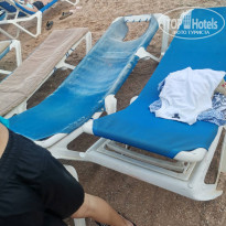 фото из отзыва ID 2744556