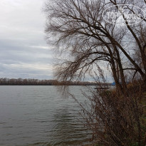 фото из отзыва ID 2744559