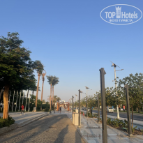 фото из отзыва ID 2744606