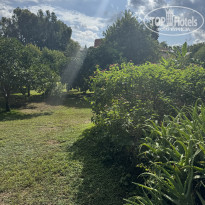 фото из отзыва ID 2744624