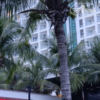 фото из отзыва ID 2744629