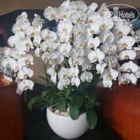 фото из отзыва ID 2744638