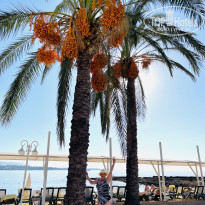 фото из отзыва ID 2744660