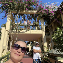 фото из отзыва ID 2744660