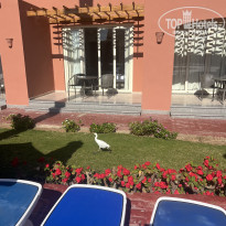 фото из отзыва ID 2744673