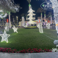 фото из отзыва ID 2744673