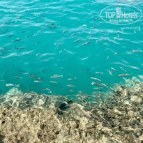 фото из отзыва ID 2744681