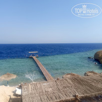 фото из отзыва ID 2744737