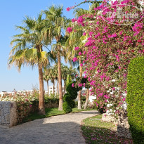 фото из отзыва ID 2744737