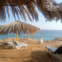 фото из отзыва ID 2744737