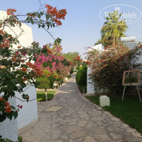 фото из отзыва ID 2744737