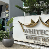 фото из отзыва ID 2744763