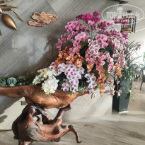 фото из отзыва ID 2744811