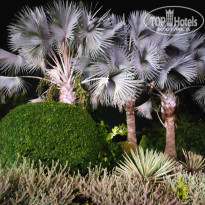 фото из отзыва ID 2744811