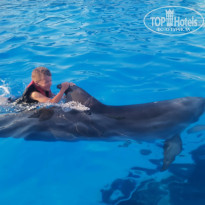 фото из отзыва ID 2744816