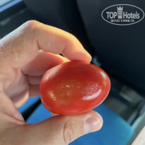 фото из отзыва ID 2744815