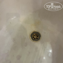 фото из отзыва ID 2744815