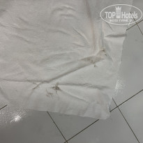 фото из отзыва ID 2744815