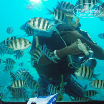 фото из отзыва ID 2744819