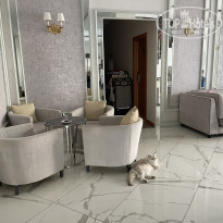 фото из отзыва ID 2744836